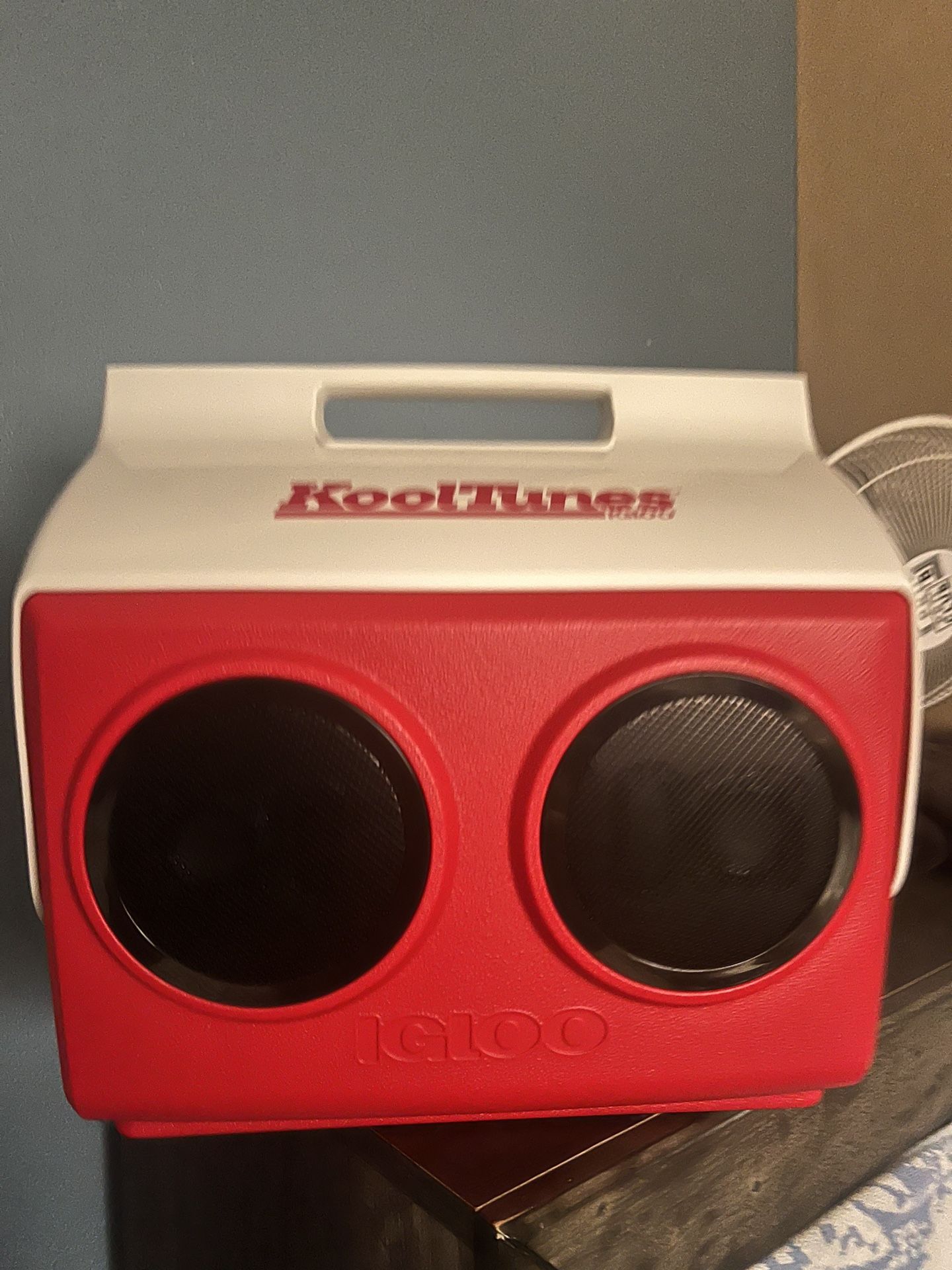 KoolTunes Cooler And Speaker