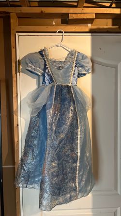 Disney Cinderella Costume
