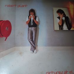 Robert Plant Vinyl Album