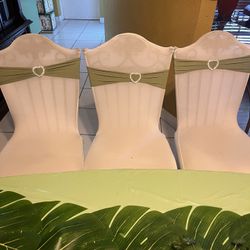 Safari Decor And accessories 