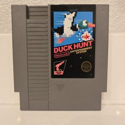 Duck Hunt 
