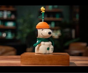 Starbucks snoopy bundle