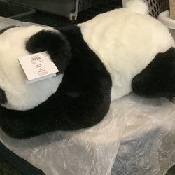 Brand New Panda 