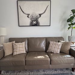 Leather couch