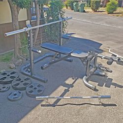 Squat Rack, Bench, Bars, and Weights - $800