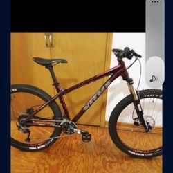 Mountain Bike of 2025