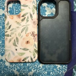 iPhone 13 Pro Max Cases