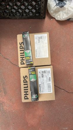 Light bulbs