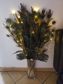 Peacock Feather Arrangement