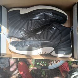 Jordan 12 Nylon