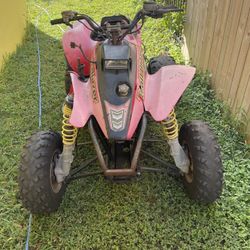 Polaris 250 Trailblazer