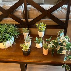 Home Decor