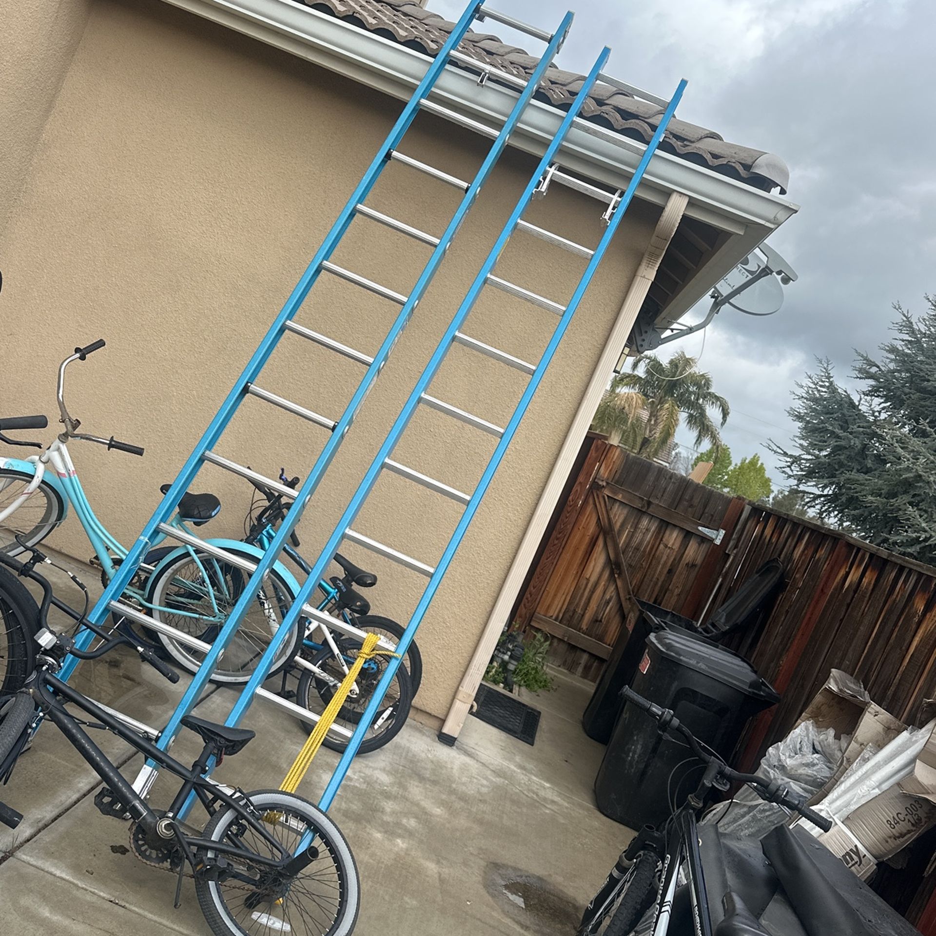 Werner Ladder