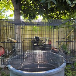 Bird Cage/Jaula Para Pájaros 
