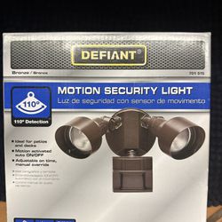 Motion Security Light