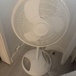 Fan For Sale 