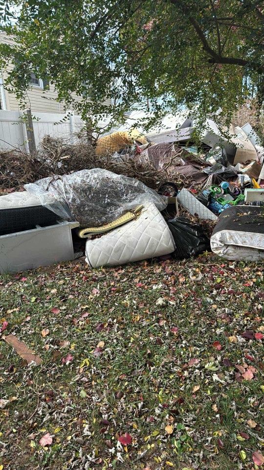 Se recoje basura 