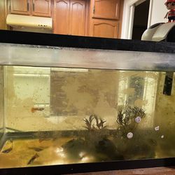 10 Gallons Fish Tank 