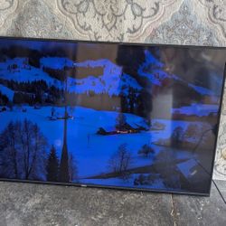 Vizio TV 65" OBO
