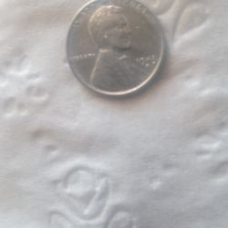 I Have A 1943 Steel Penny And A 1909 S Wheat Cent $200 For Both Of Them