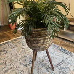 Large Artificial Plant 