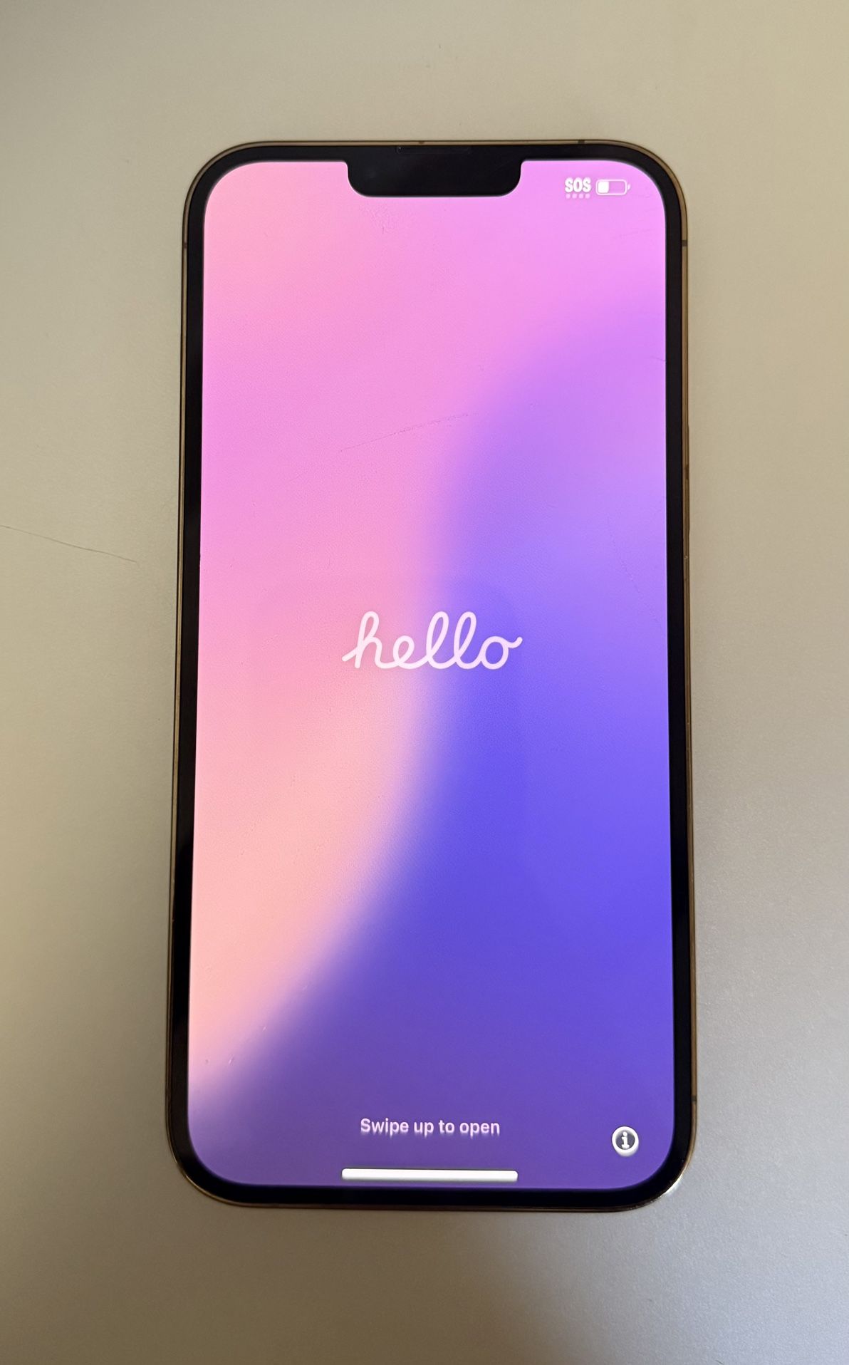 iPhone 13 Pro Max 1 Terabyte 