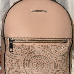 Pink Aldo Bag 