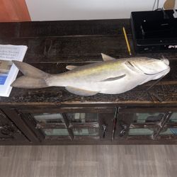 Wooden Cat Fish 