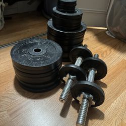 Weight Plates (205+ Pounds) And Walking Pad Sold SEPARATELY 