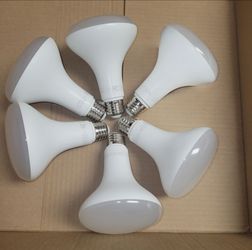 LED Light Bulbs 9W
