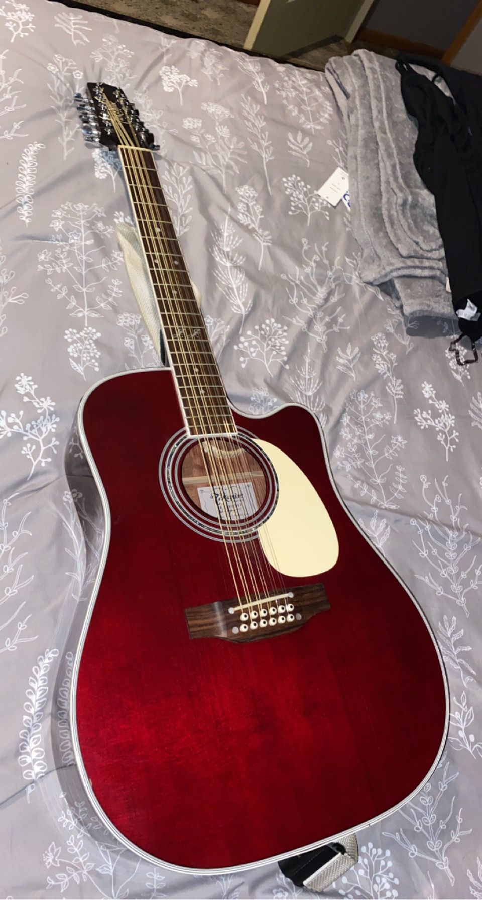 Takamine JJ 12 String 