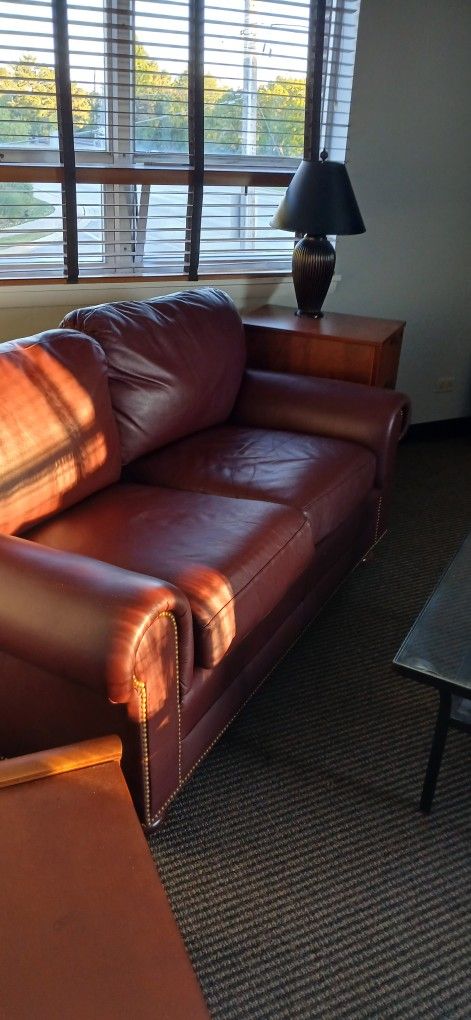 Richard Honquest Leather Couch