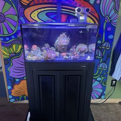Fish tank