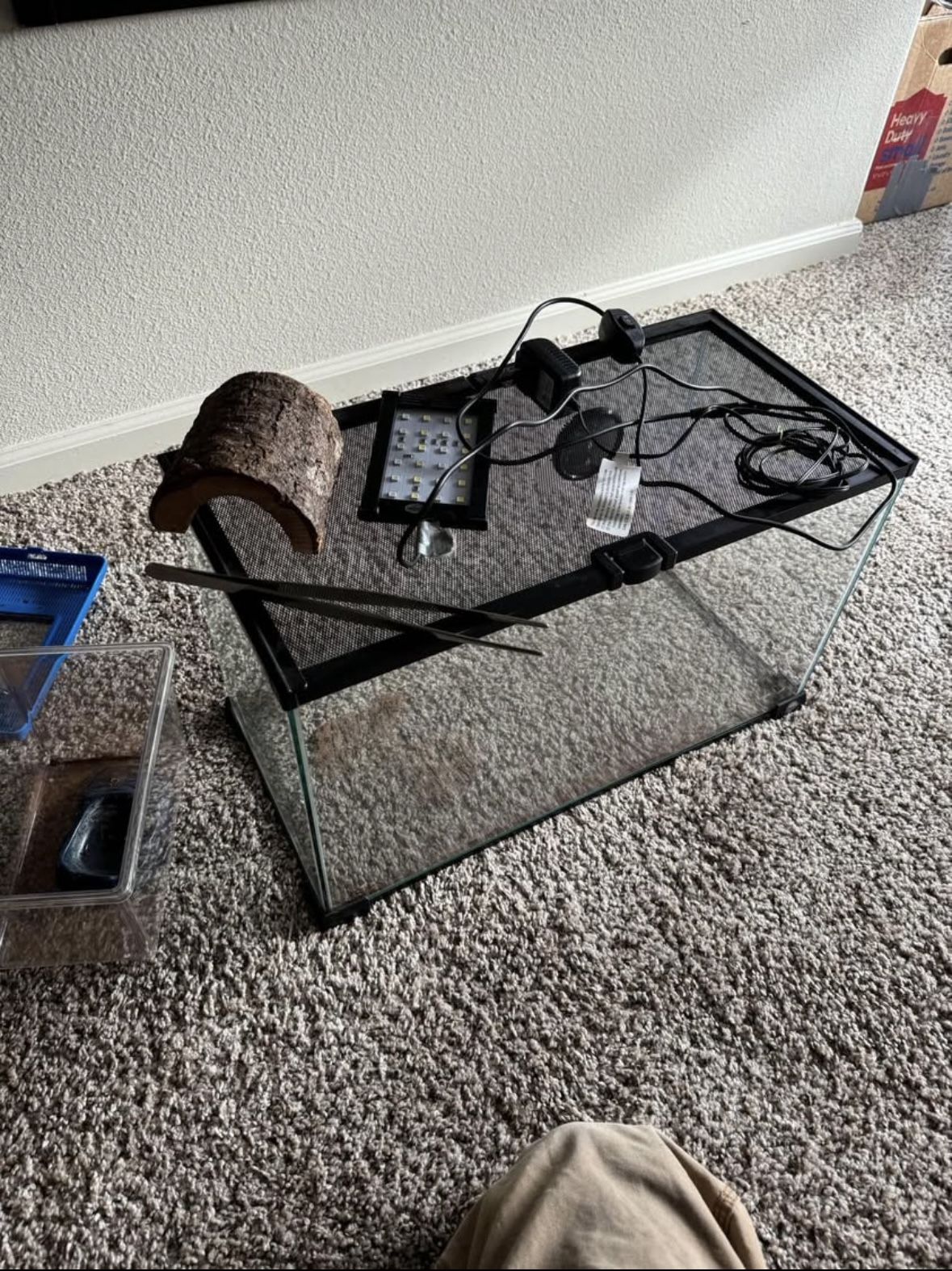 Reptile Terrarium/setup