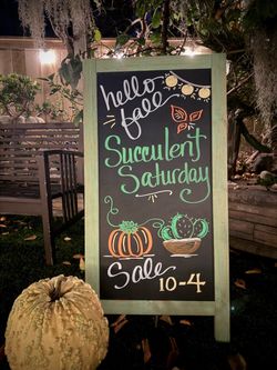 10-17-26 🍁🌵Succulent Saturday🍂🪴 SALE!
