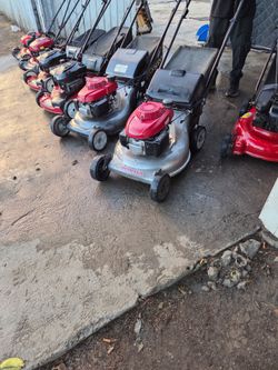 Lawn mower one yr garanty