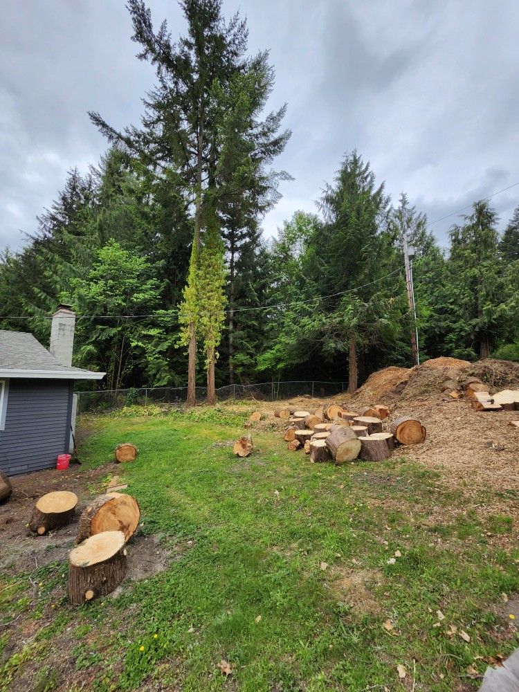 Free Firewood
