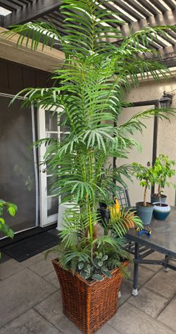 Free! 8ft tall Artificial Tropical Tree w/wicker basket