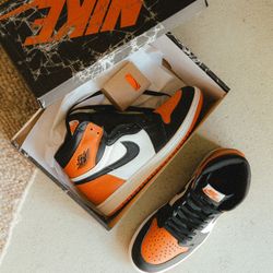 Air Jordan 1 Retro Size 11 Shattered Backboard 2025 DZ5485-008