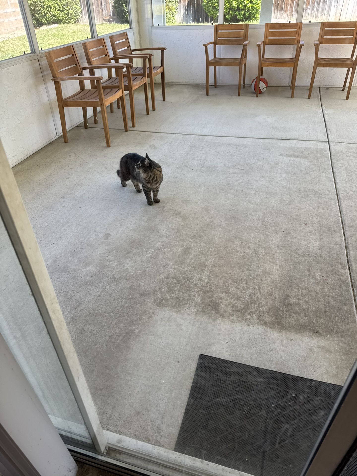 Teak Patio Chairs $150