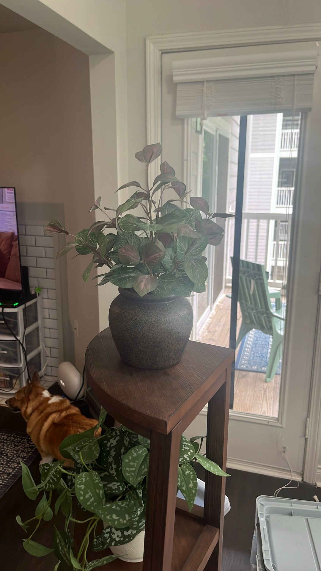 Faux Potted Plant - Hearth & Hand With Magnolia (Target)