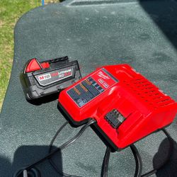 Milwaukee M18 5.0 Battery And Charger 