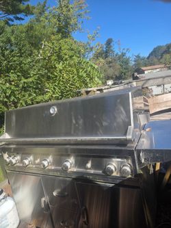 Large Stainless Steel Member's Mark Gas Grill