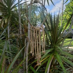 Acorn Dreamcatcher Natural Fall Holiday