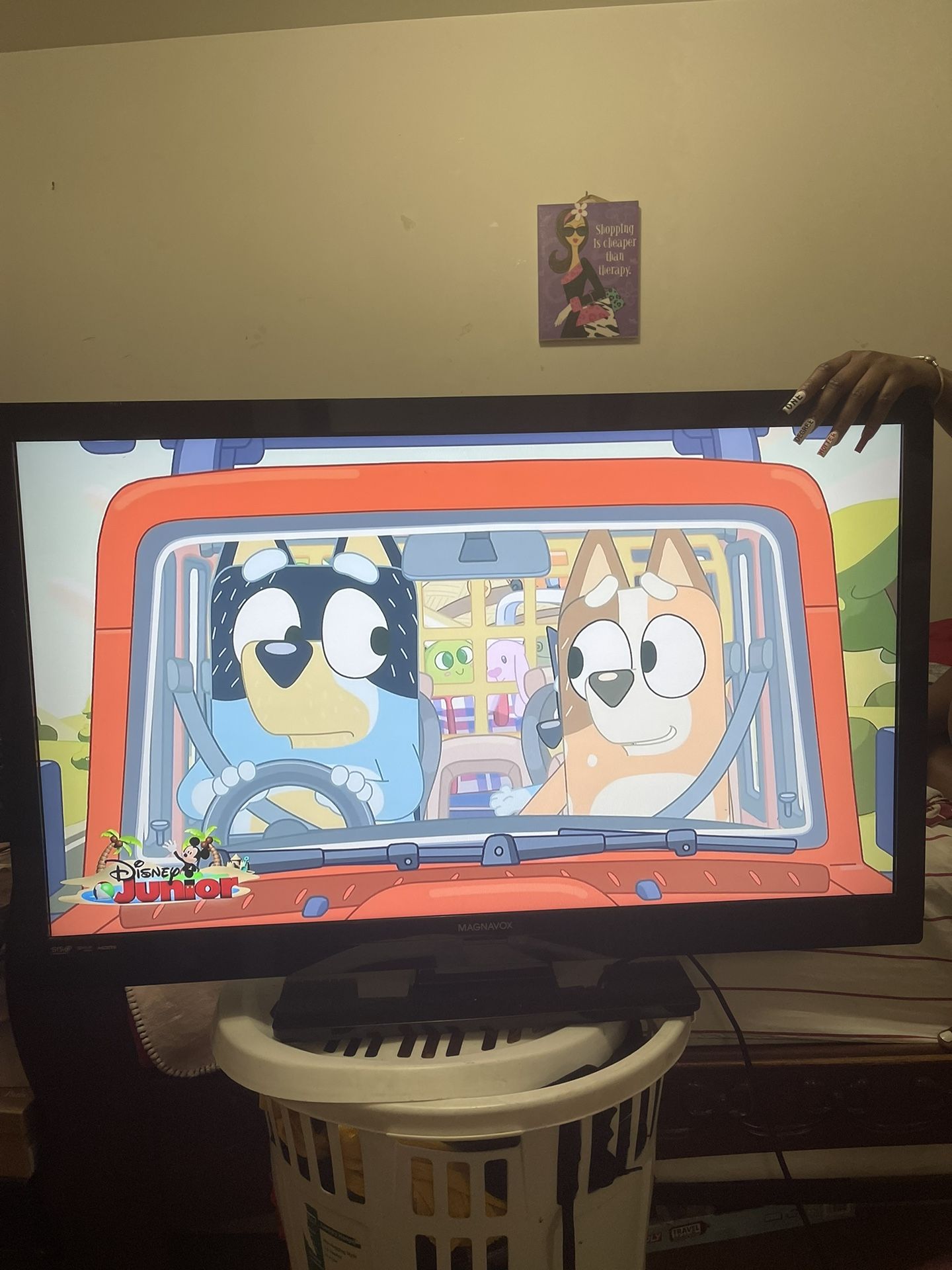 Flat Screen TV