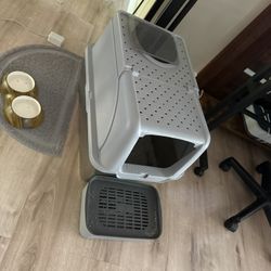 Cat Litter