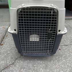 Dog Kennel