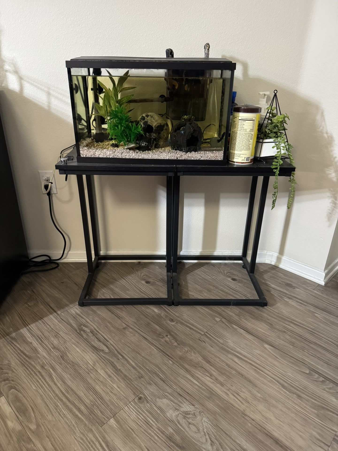 20 Gal Fish Tank Aquarium