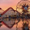 Eddi