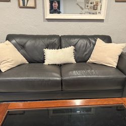 Leather Couches